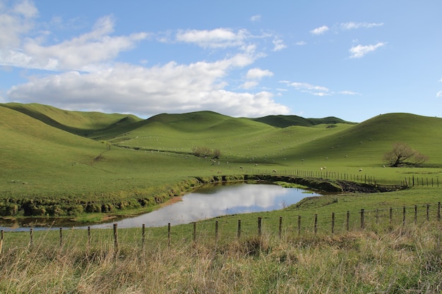 Exploring the Majestic Highlands on Foot