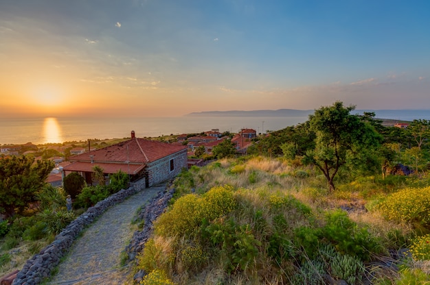 Motovun: The Cinematic Gem of Istria's Hilltowns