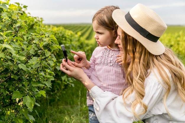 Vendanges: The Art of Grape Harvesting in France